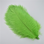 10tk/partii 30-35cm jaanalinnusuled meisterdamiseks Valged suled vaaside jaoks Pulmapeokaunistus K&auml;sit&ouml;&ouml;tarvikud DIY Plume &otilde;unaroheline v&auml;rv