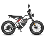 FAFREES F20 Ultra Elektriline Jalgratas 750W Mootor, 48V 25Ah Aku, 20*5.0 Tolli Paksud Rehvid, Mehaanilised Pidurid, 80-100KM S&otilde;iduulatus, Topeltvedrustusega E-ratas Mechanical Brakes