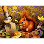 Teemantmaal Mosaiik Teemanttikandid Kodukaunistused Pruun orava ja linnu teemantristpiste 20X30CM