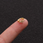 Peen tilluke r&otilde;ngask&otilde;rvar&otilde;ngas Kuldne h&otilde;be Roos Kuldrist vibu lill tsirkoon k&otilde;hre k&otilde;rvar&otilde;ngas augustamine ehted 3