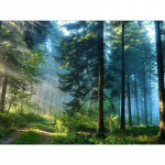 Teemanttikandid Kasemetsa maastik K&auml;sitsi valmistatud teemantmaal Ristpistes 20X30CM