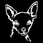 DYS Auto Shop Autode mootorrataste helkurkleebised Kleebise kaunistus valge