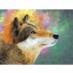 5D Teemanttikandid Hunt Loomad Ristpistes Tee ise Teemantmaaling Kodukaunistuse kingitused 20X30CM