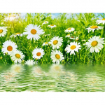 5D DIY Teemantv&auml;rvimine Sukulendid Ristpistekomplekt Mosaiikpildiga kivid n&auml;put&ouml;&ouml; jaoks Teemanttikandid Uusaasta kingitus Full Round 20X30CM punane