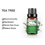 PHATOIL 10 ml vanilje lavendli roosi teepuu taime eeterlik &otilde;li &otilde;hupuhastaja hajuti massaažile Puhas antibakteriaalne eeterlik &otilde;li ussit&otilde;rje Tea Tree