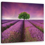 L&otilde;uendiprint Lavendliv&auml;li puuga 30x30 lilla