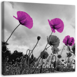 L&otilde;uenditr&uuml;kk Purple poppies 30x30 lilla
