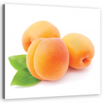 L&otilde;uenditr&uuml;kk Fruits Apricot 30x30 oranž