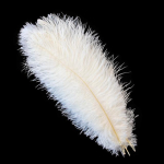 10 tk. V&auml;rvilised kohevad jaanalinnusuled Naturaalsete sulgedega kaunistused pulmadeks Kodu Vaasid Laua keskosa kaunistus k&auml;sit&ouml;&ouml; 25-30cm 10-12inch