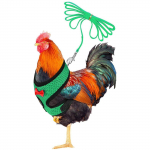 Sagit ,kana,k&ouml;is,koos,rihmaga,ja,sobiv,v&ouml;&ouml;,mugav,kana,lemmikloom,vest One Size roheline