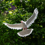 Elutruu tuviskulptuur: Suurep&auml;rane aiakujundus &otilde;ues