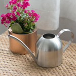 1000 ml roostevabast terasest kastekann toataimede pikasuuga lilledega bonsai sukulentide pott h&otilde;be