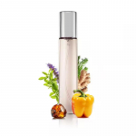 Excitement Man Eau de parfum for men 33 ML