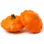 15 Graines de P&acirc;tisson Orange (Cucurbita Pepo)