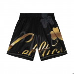 Short de basketball M&N Big Face 4.0 Boston Celtics - Homme - Noir - Coupe ajust&eacute;e