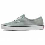 Vans Authentic Color Theory - J&auml;&auml;m&auml;eroheline Unisex tossud VN000BW5CJL 35