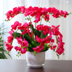 Kunstlik Phalaenopsis Lilleset: Siidist lillekaunistus elutuppa, kohvilauale ja televiisori kapile.