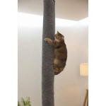 Sac &agrave; grimper pour chats - KERBL - CARPET - 16 x 16 x 240 cm - Fixation plafond - Polyester