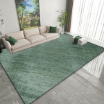 Moodsad rohelised vaibad elutuppa Lihtne kaunistus Kodu luksuslikud vaibad Diivani piirkond Jalamatt Magamistuba Lounge'i vaip 100*160cm