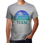 Meeste vintage t-s&auml;rk graafilise tr&uuml;kiga Texas Sunset hall melange XS kanarbiku halli v&auml;rvi