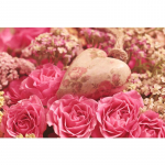 5D teemantmaal Roosililled Scenery Teemanttikandid Ristpistes 20X30CM