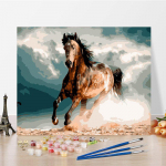 DIY v&auml;rvid numbrite j&auml;rgi &otilde;limaali komplekt L&otilde;uend DIY &otilde;limaal numbrite j&auml;rgi Seinakunsti kaunistused kodukinki kunstiks ja hobideks 40x50cm no frame