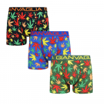 Meeste bokserid (pakendis 3) Puuvillased &ndash; puuvillased bokserid XL mitmev&auml;rviline