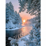 DIY Snow Scenic 5D Teemantmaal, T&auml;isringi puur, maastik Teemanttikandid Ristpistes mosaiikkomplektid Seinakunst Kodukaunistus Full Round 20x30CM