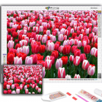 Populaarne 5D isetehtud ristpistes lilled Tulbid Maalimine T&auml;ispuur-ristpistes k&auml;sit&ouml;&ouml;komplekt Seinakleebis Kodukaunistus Full Round 20X30CM