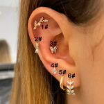 Cartilage Stainless Steel Stud Women's Earrings 2023 Septum Piercing Zircon Butterfly Ear Hoop Lobe Tragus helix 1