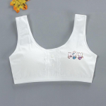 Piilumisvastane teismeliste rinnahoidja, t&uuml;drukud, lapsed, noored, treeningpesu, &otilde;pilaste rinnahoidja one size roosa