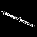 G216 15*2.3CM Passenger princess car stickers funny creative stickers for car rearview mirrors 15cmx2.3cm