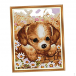 of Embroidery Starter Kits Stamped stitch set Beginners for DIY with Pattern Designs - 31X38cm 14CT