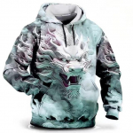 Meeste Dragon kapuutsiga dressipluus 3D prinditud mustriga 3D kapuutsiga visuaalse efektiga pulloverid XXL