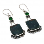 Bloodstone, Diopside 925 Sterling Silver Jewelry Earring 2.29 r2m21