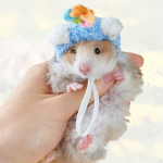 Hamster Hat Pet Cosplay Accessory Gifts Cartoon Comfortable Handmade Dress up Headdress Headpiece