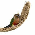 Papagoi m&auml;nguasjad muruv&otilde;rk redel ronimisredel lindude ronimisraam Papagoi ronimisredel n&auml;ksimislind m&auml;nguasjad kiik Rippr&otilde;ngas Small 19*40cm (long and tall)