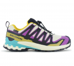 Salomon XA PRO 3D V9 GTX W - GORE-TEX - Damen Wanderschuhe Trail-Running Schuhe 478822 ORIGINAL EU 40 2/3 UK 7 mitmev&auml;rviline