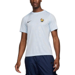 Nike Fff Academy Pro v&otilde;&otilde;rsilp meeste Nike Dri-FIT jalgpalli eelv&otilde;istluse s&auml;rk FV6940-415 L