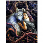T&auml;ielik 5D-tehtud teemantmaaling multifilmi naise ja hundi tikandid ristpistes kodukaunistusega k&auml;sitsi valmistatud kingitus 25x30cm