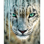 5D Teemantmaal Tiger Teemanttikandid Ristpistes Kodukaunistus K&auml;sitsi valmistatud kingitused Round 20x30cm