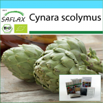 SAFLAX - Kinkekomplekt - Orgaaniline - Arti&scaron;okk - Imperial Star - 5 seemet - Koos kinkekarbi, kaardi, etiketi ja potisubstraadiga - Cynara scolymus