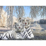 Teemantmaali loom valge tiiger 5d isetegemise mosaiik t&auml;is&uuml;mmargune puur Teemantkivist teemanttikandid pildid Full Round 20x25CM