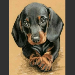 5D DIY teemantmaaling Armas v&auml;ike must koer teemanttikandid ristpistes t&auml;ispistes kivimosaiigiga kodukaunistus Round 20x30cm