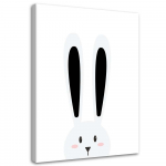 Feeby l&otilde;uenditr&uuml;kk, K&uuml;&uuml;liku k&otilde;rvad 40x60 must/valge