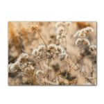 Maastik muru S&uuml;gismaastik Prindid Kunst L&otilde;uend Maali Metsik Taim Loodus Ruumidekoratsioon Pilt Seinaplakat FJ031 21x30cm no frame