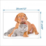 3D multikas kasside WC-seinakleebised lastele beebitubade plakat Kodukaunistus Armas loom kass PVC isekleepuv kunst