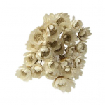 30 tk laialdane kasutus Elav v&otilde;luv realistlik pressitud kuivatatud beebi hinge&otilde;hk lilled kuivatatud lillede kimp