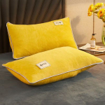 Sametist padjap&uuml;&uuml;r 2TK Flaneell Soe Voodipesu Padjap&uuml;&uuml;rid Padjap&uuml;&uuml;r Pehmed Katted Magamispadjale Kodutekstiil (ilma padjata) 48X74cm 2PCS Pillowcases