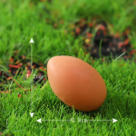 2/5 tk V&auml;ikesed armsad oravad loomakesed kujukesed k&uuml;&uuml;lik k&auml;&auml;bushaldjas aed terraarium karupart nukumaja dekoori sambla maastikukomplekt 2PCS